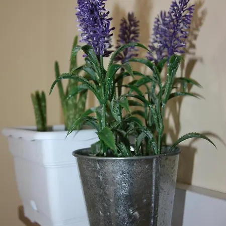 Apartmán Flowers House Edirne